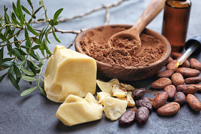 Fueling Your Body: The Power of Healthy Fats for Nutrient Absorption